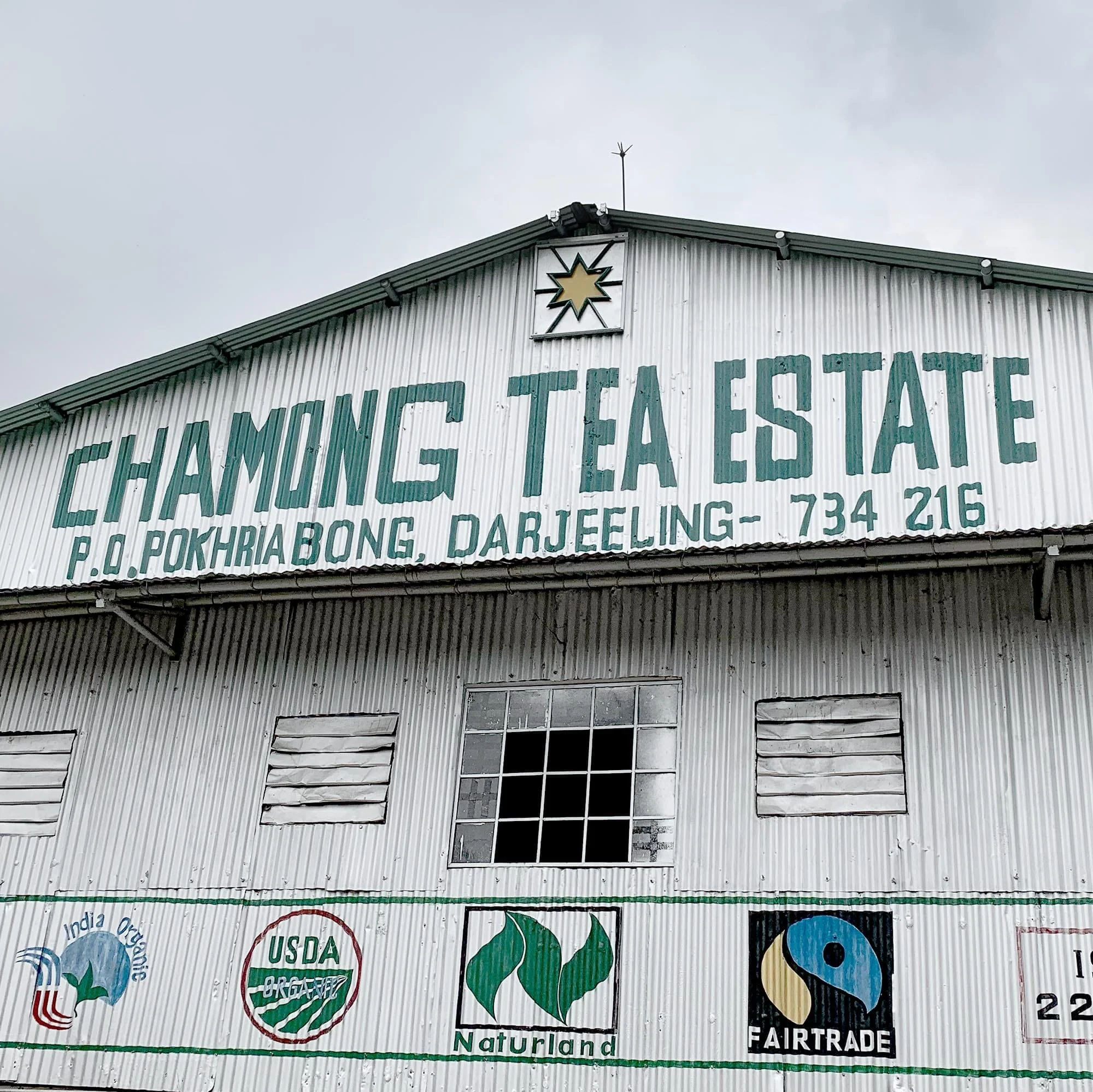 Darjeeling First Flush Chamong EX2 - Image 3