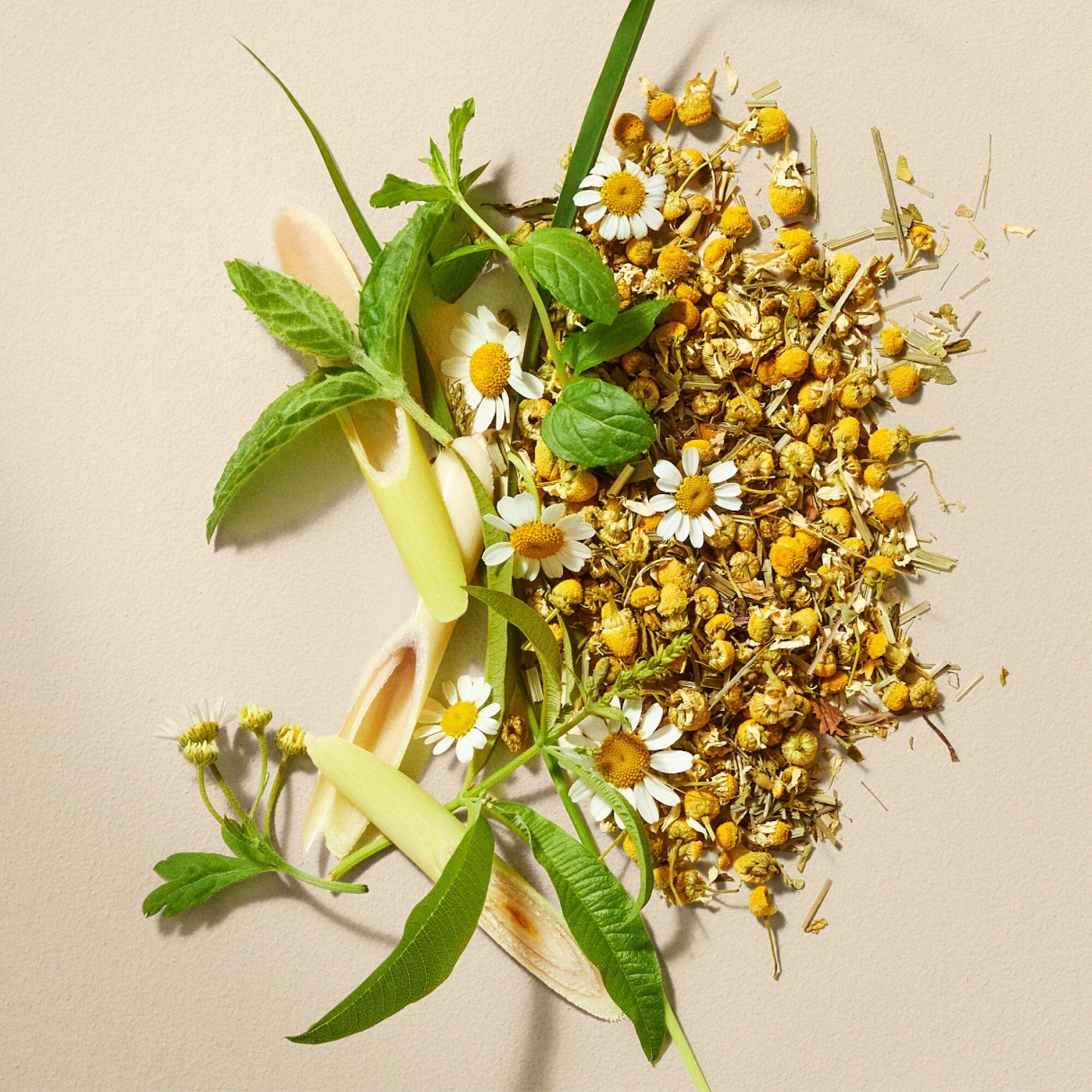 Chamomile Medley - Image 5