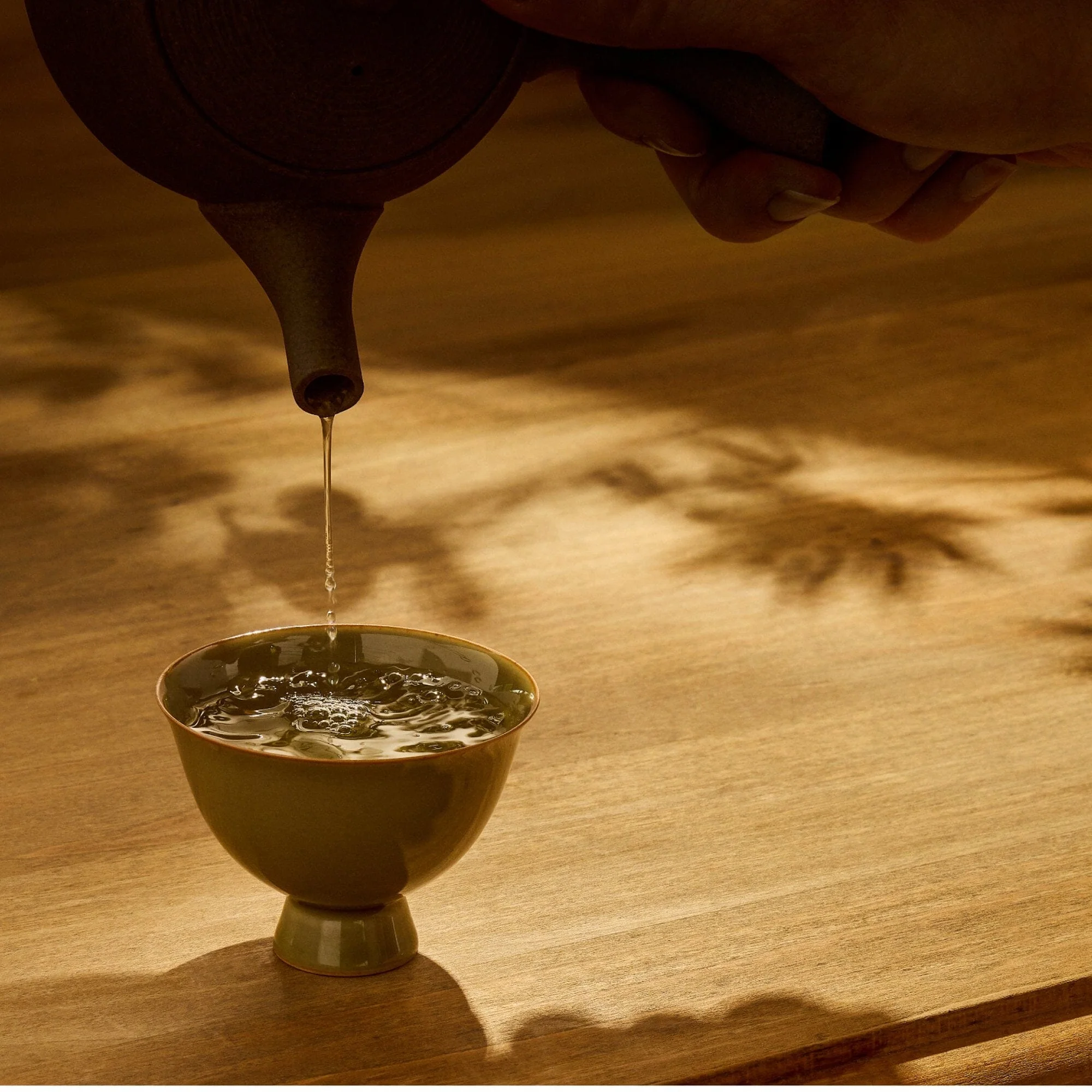 Nishi Sencha First Flush - Image 3