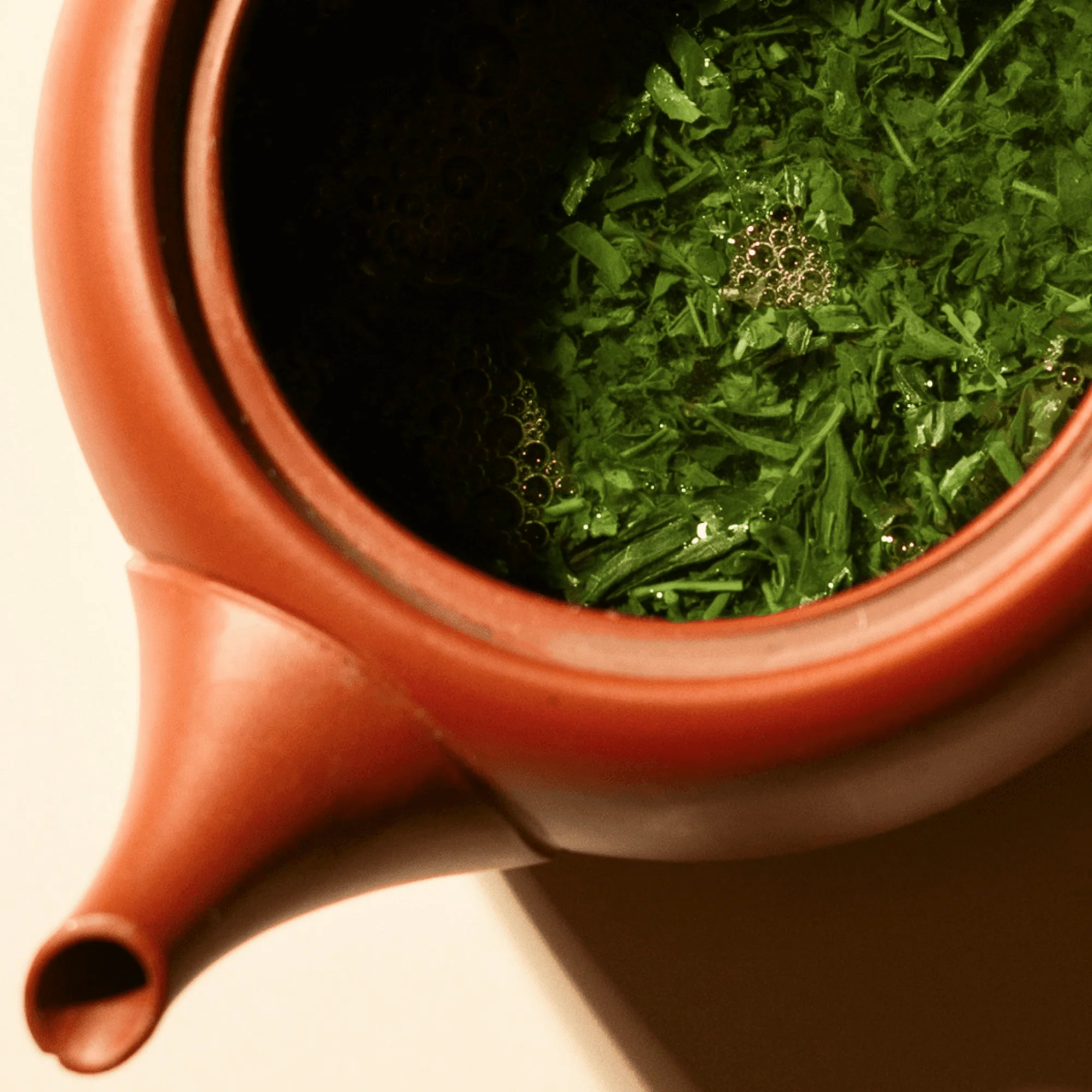 Sencha - Image 6